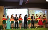 Khám phá không gian làm việc thú vị dành cho 