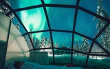 Ngỡ ngàng trước cảnh sắc 