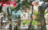 Gái bán dâm 