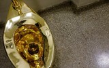 Tại sao hơn 100.000 người phải xếp hàng để… ngồi thử chiếc bồn cầu?
