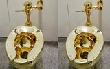 Tại sao hơn 100.000 người phải xếp hàng để… ngồi thử chiếc bồn cầu?