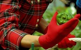 Ngắm Đệ nhất phu nhân nước Mỹ bình dị mà vẫn nổi bật khi... làm vườn