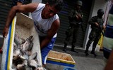 Xem lính đặc nhiệm Brazil trấn áp tội phạm ma túy ở Rio de Janeiro