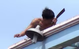 1001 hành vi quái dị của những kẻ ngáo đá 