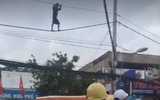 1001 hành vi quái dị của những kẻ ngáo đá 