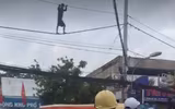 1001 hành vi quái dị của những kẻ ngáo đá 