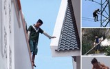1001 hành vi quái dị của những kẻ ngáo đá 