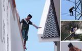 1001 hành vi quái dị của những kẻ ngáo đá 