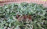 [ẢNH] Lý do Khaisilk không dùng lụa tơ tằm Việt Nam vì quá đắt?