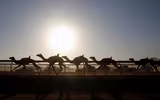 Thú vị xem cuộc đua lạc đà khốc liệt và... bụi mù