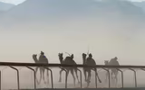 Thú vị xem cuộc đua lạc đà khốc liệt và... bụi mù