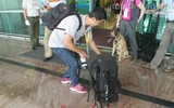 Những góc máy 