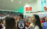 Ngắm các 