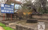 [ẢNH] Đẹp rêu phong như giếng cổ của làng