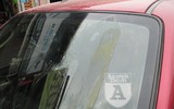 Toàn cảnh cuộc thực nghiệm 