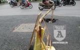 [ẢNH] Vì đâu có biển... 