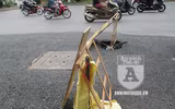 [ẢNH] Vì đâu có biển... 