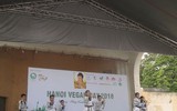 Những bằng chứng sống cho thấy ăn chay vẫn đủ dinh dưỡng và sức khỏe