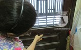 [ẢNH] Nắng nóng cao độ, càng ngột ngạt vì bị xả khói độc hại