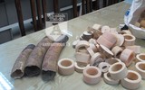 [ẢNH] Cận cảnh lượng ngà voi 