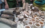 [ẢNH] Cận cảnh lượng ngà voi 