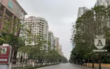 [ẢNH] Hà Nội lạ và đẹp trong ngày mồng 1 Tết