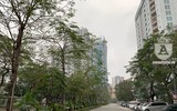 [ẢNH] Hà Nội lạ và đẹp trong ngày mồng 1 Tết