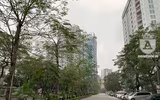 [ẢNH] Hà Nội lạ và đẹp trong ngày mồng 1 Tết