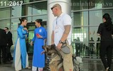 [ẢNH] So sánh 2 lần đón Tổng thống Mỹ Donald Trump ở Việt Nam: Những điều thú vị!