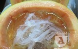 [ẢNH] Nhìn lại bữa trưa đặc biệt của đoàn quan chức Triều Tiên tại Hà Nội