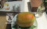[ẢNH] Nhìn lại bữa trưa đặc biệt của đoàn quan chức Triều Tiên tại Hà Nội