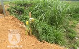 [ẢNH] Hiện trường 