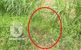 [ẢNH] Hiện trường 