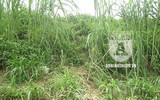 [ẢNH] Hiện trường 