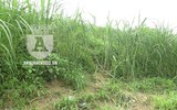 [ẢNH] Hiện trường 