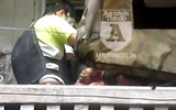 [ẢNH] Trấn áp đối tượng manh động cố thủ: Những khoảnh khắc căng như dây đàn