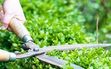 [ẢNH] Đối phó với 'sự cố' mang tên Covid-19: Những kỹ năng không thể bỏ qua!