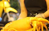 Món mực khổng lồ Hồng Kông xuất hiện ở Hà Nội