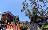 Rực rỡ ngàn hoa tại Fansipan Legend