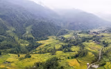 Quyến rũ như thung lũng Mường Hoa mùa lúa chín