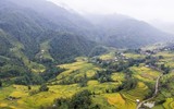 Quyến rũ như thung lũng Mường Hoa mùa lúa chín