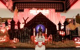 Biến hình trong 