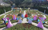 Chỉ đến Sun World Ba Na Hills mùa xuân, bạn mới được thấy những loại hoa độc đáo này