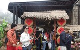 Chỉ đến Sun World Ba Na Hills mùa xuân, bạn mới được thấy những loại hoa độc đáo này