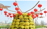 Nô nức rủ nhau dạo đường hoa bên sông Hàn đón Tết