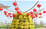 Nô nức rủ nhau dạo đường hoa bên sông Hàn đón Tết