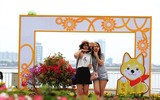 Nô nức rủ nhau dạo đường hoa bên sông Hàn đón Tết