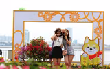 Nô nức rủ nhau dạo đường hoa bên sông Hàn đón Tết
