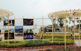 Nô nức rủ nhau dạo đường hoa bên sông Hàn đón Tết