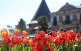 Đến Bà Nà Hills xem nghệ sỹ châu Âu kể chuyện cổ tích về các loài hoa